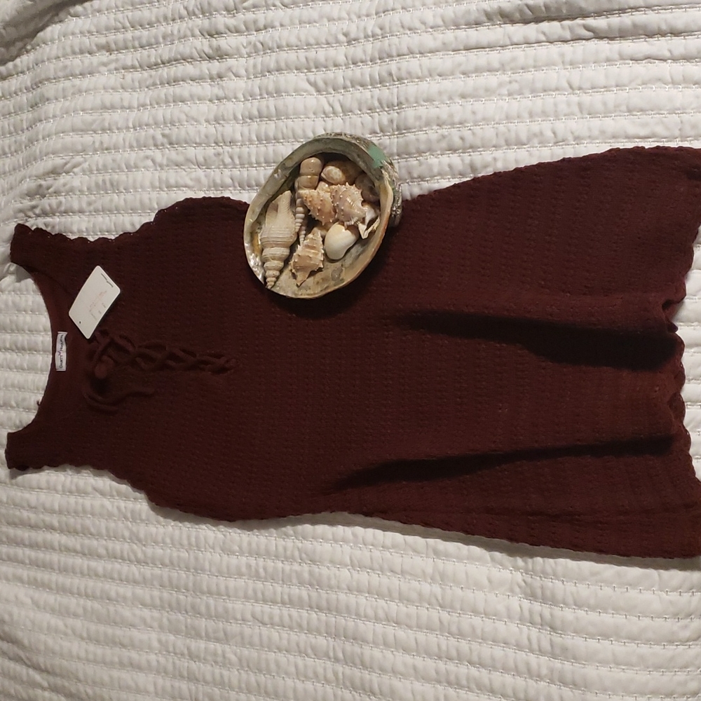 Dainty hooligan deep red sweater dress new with tags